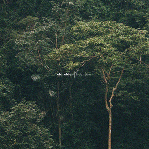 成人免费无码视频
