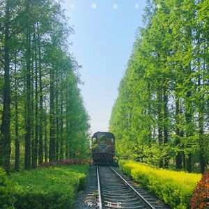 成人免费无码视频
